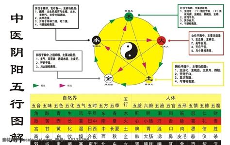 五音 五行|五音（中医术语）